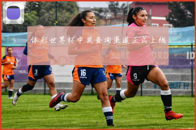 体彩世界杯中奖查询渠道正式上线