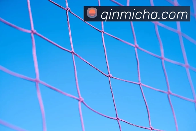 App Interface Preview